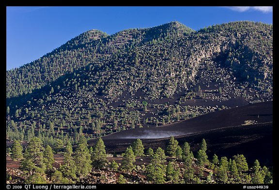 Cinder-covered slopes, Sunset Crater Volcano National Monument. Arizona, USA