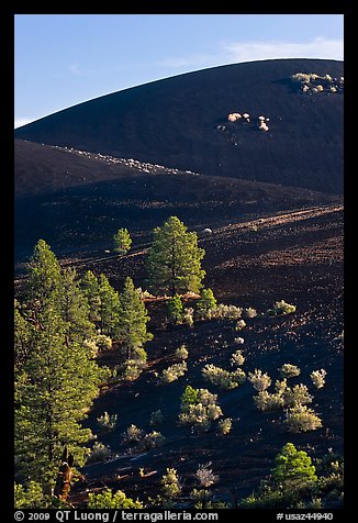 Cinder cone detail, Sunset Crater Volcano National Monument. Arizona, USA (color)
