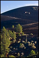 Cinder cone detail. Sunset Crater Volcano National Monument, Arizona, USA ( color)