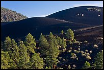 Volcanic landscape with cinder domes, Sunset Crater Volcano National Monument. Arizona, USA (color)