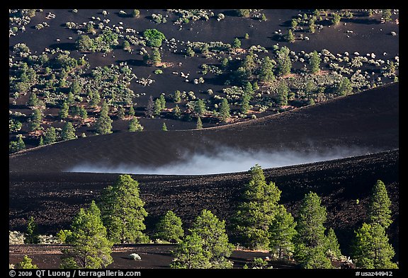 Steam rising from cinder landscape, Sunset Crater Volcano National Monument. Arizona, USA (color)