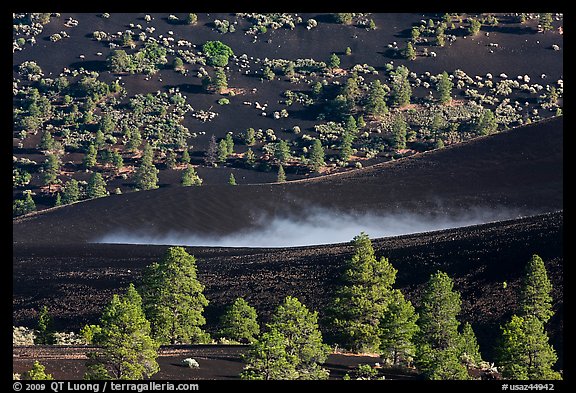 Steam rising from cinder landscape. Sunset Crater Volcano National Monument, Arizona, USA (color)