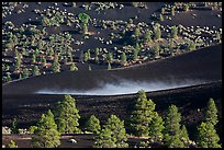 Steam rising from cinder landscape, Sunset Crater Volcano National Monument. Arizona, USA (color)