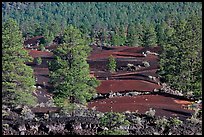 Pine trees, hardened lava, and red cinder, Sunset Crater Volcano National Monument. Arizona, USA (color)