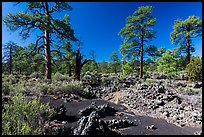 Kana-a lava flow, Coconino National Forest. Arizona, USA (color)