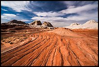 Red swirl, White Pocket. Vermilion Cliffs National Monument, Arizona, USA ( color)