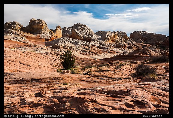 Soft sediment deformation landscape. Vermilion Cliffs National Monument, Arizona, USA (color)