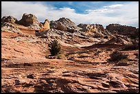 Soft sediment deformation landscape. Vermilion Cliffs National Monument, Arizona, USA ( color)