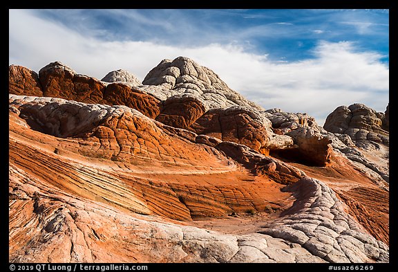 White layer above read layer of twisting sandstone. Vermilion Cliffs National Monument, Arizona, USA (color)