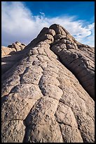 Cauliflower rock, White Pocket. Vermilion Cliffs National Monument, Arizona, USA ( color)