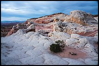 White pocket, evening. Vermilion Cliffs National Monument, Arizona, USA ( color)