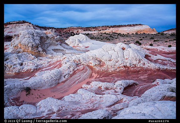 White pocket at dusk. Vermilion Cliffs National Monument, Arizona, USA (color)