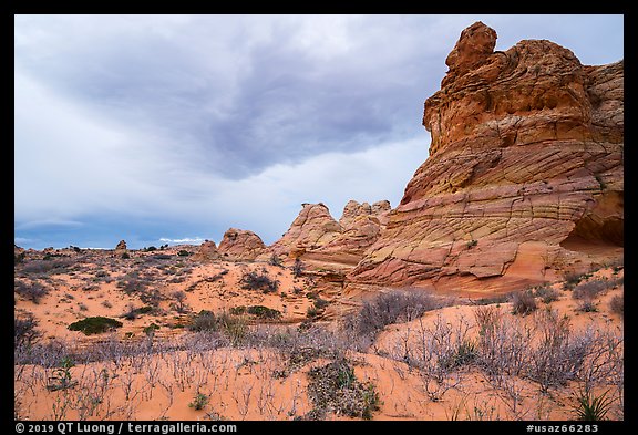 Cottonwood Teepees, Coyote Buttes South. Vermilion Cliffs National Monument, Arizona, USA (color)