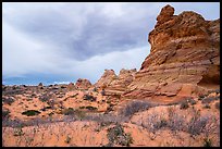 Cottonwood Teepees, Coyote Buttes South. Vermilion Cliffs National Monument, Arizona, USA ( color)