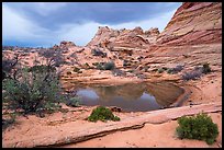 Pond reflecting Cottonwood Teepees. Vermilion Cliffs National Monument, Arizona, USA ( color)