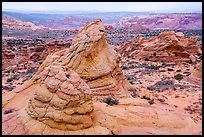 Coyote Buttes South. Vermilion Cliffs National Monument, Arizona, USA ( color)