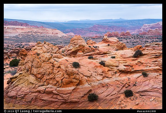 Sandstone landscape of Coyote Buttes South. Vermilion Cliffs National Monument, Arizona, USA (color)