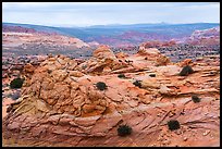 Sandstone landscape of Coyote Buttes South. Vermilion Cliffs National Monument, Arizona, USA ( color)