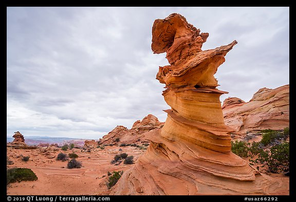 Control Tower rock, Coyote Buttes South. Vermilion Cliffs National Monument, Arizona, USA (color)