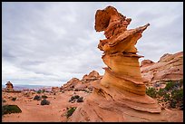 Control Tower rock, Coyote Buttes South. Vermilion Cliffs National Monument, Arizona, USA ( color)