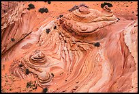 Buttes from above, Coyote Buttes South. Vermilion Cliffs National Monument, Arizona, USA ( color)