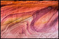 Multicolored swirl, Coyote Buttes South. Vermilion Cliffs National Monument, Arizona, USA ( color)