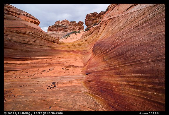 Striated canyon, Third Wave, Coyote Buttes South. Vermilion Cliffs National Monument, Arizona, USA (color)