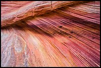 Striation details, Third Wave, Coyote Buttes South. Vermilion Cliffs National Monument, Arizona, USA ( color)