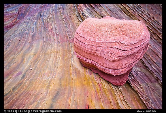 Rock and striations, Third Wave, Coyote Buttes South. Vermilion Cliffs National Monument, Arizona, USA (color)