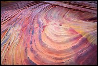 Multicolored swirls, Coyote Buttes South. Vermilion Cliffs National Monument, Arizona, USA ( color)