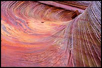 Striated multicolored rock, Coyote Buttes South. Vermilion Cliffs National Monument, Arizona, USA ( color)
