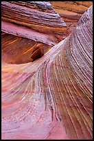 Striated rock walls, Coyote Buttes South. Vermilion Cliffs National Monument, Arizona, USA ( color)