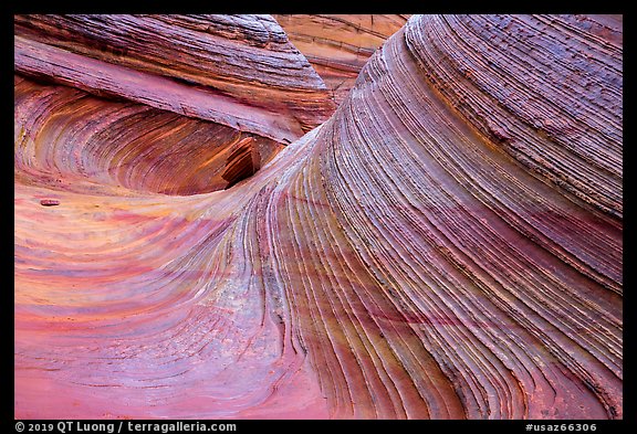 Third Wave, rain, Coyote Buttes South. Vermilion Cliffs National Monument, Arizona, USA (color)