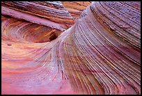 Third Wave, rain, Coyote Buttes South. Vermilion Cliffs National Monument, Arizona, USA ( color)