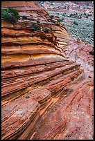 Sunset Buttes, Coyote Buttes South. Vermilion Cliffs National Monument, Arizona, USA ( color)