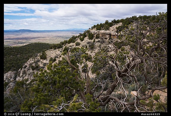 Arizona Strip from Mt. Trumbull range. Grand Canyon-Parashant National Monument, Arizona, USA (color)