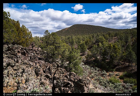 Forested volcanic peaks, Mt. Trumbull range. Grand Canyon-Parashant National Monument, Arizona, USA (color)