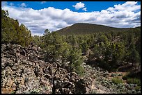 Forested volcanic peaks, Mt. Trumbull range. Grand Canyon-Parashant National Monument, Arizona, USA ( color)