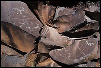 Petroglyphs etched into black basalt rock, Nampaweap. Grand Canyon-Parashant National Monument, Arizona, USA ( color)