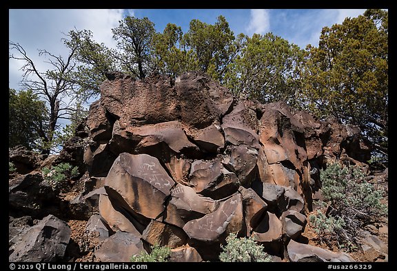 Nampaweap Rock Art Site. Grand Canyon-Parashant National Monument, Arizona, USA (color)