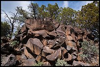 Nampaweap Rock Art Site. Grand Canyon-Parashant National Monument, Arizona, USA ( color)