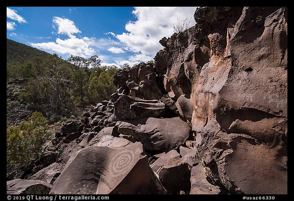 Nampaweap Petroglyph Site. Grand Canyon-Parashant National Monument, Arizona, USA (color)