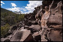 Nampaweap Petroglyph Site. Grand Canyon-Parashant National Monument, Arizona, USA ( color)