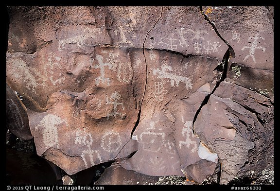 Petroglyph panel on basalt, Nampaweap. Grand Canyon-Parashant National Monument, Arizona, USA (color)