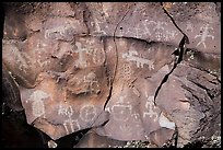 Petroglyph panel on basalt, Nampaweap. Grand Canyon-Parashant National Monument, Arizona, USA ( color)