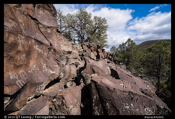 Nampaweap Petroglyphs. Grand Canyon-Parashant National Monument, Arizona, USA (color)