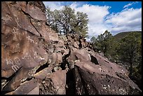 Nampaweap Petroglyphs. Grand Canyon-Parashant National Monument, Arizona, USA ( color)