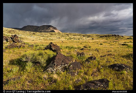 Steppe in spring with black volcanic rocks. Grand Canyon-Parashant National Monument, Arizona, USA (color)