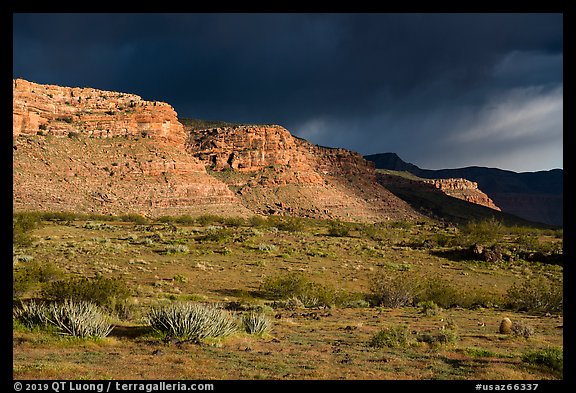 Steppe and cliffs. Grand Canyon-Parashant National Monument, Arizona, USA (color)