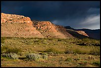 Steppe and cliffs. Grand Canyon-Parashant National Monument, Arizona, USA ( color)